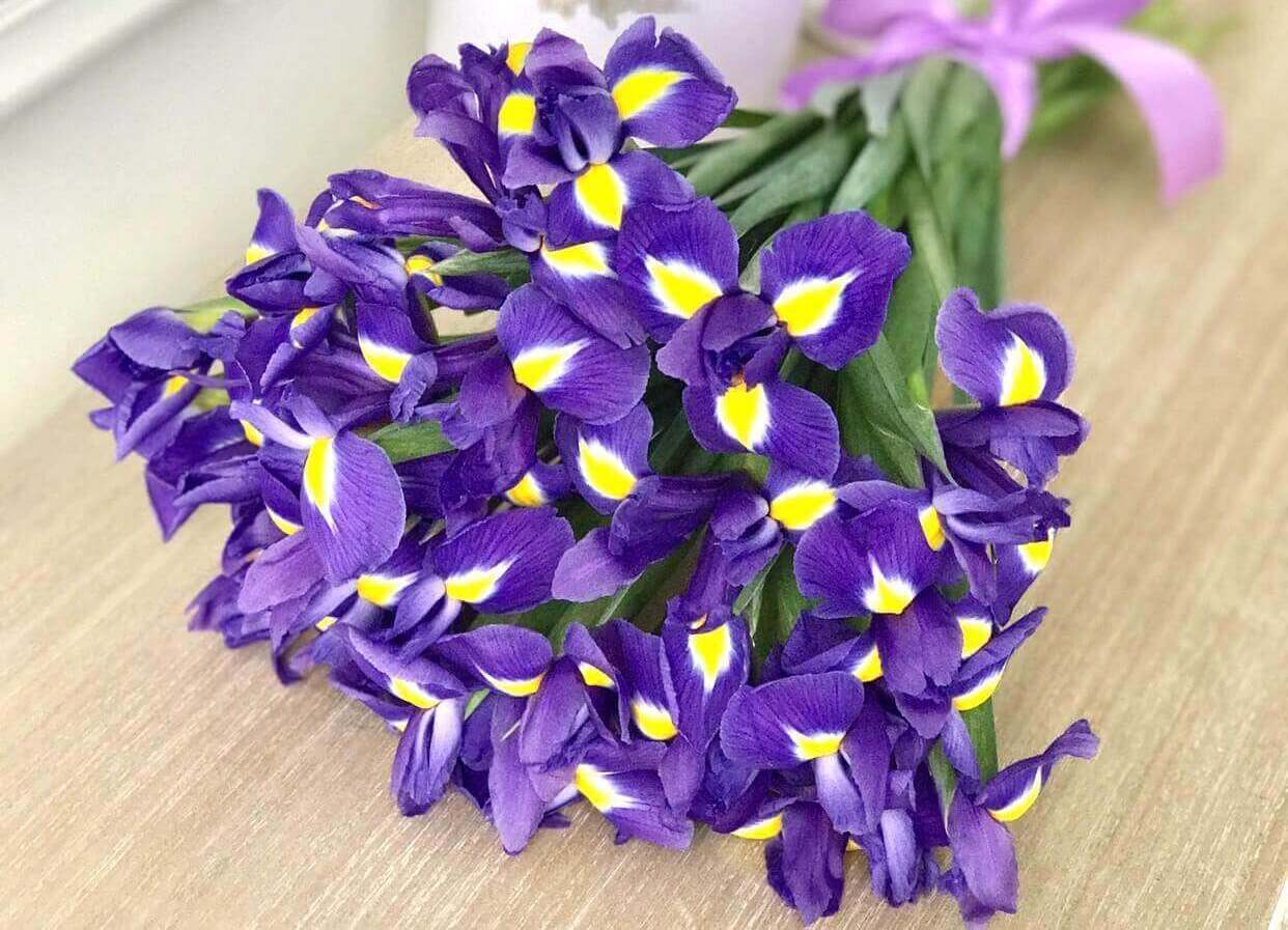 Красивые букеты из ирисов