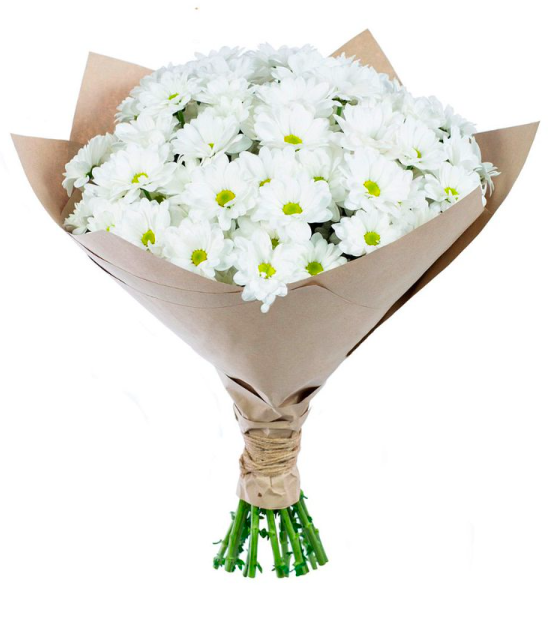 Цветы с доставкой спб приморский район недорого доставка цветов петербург